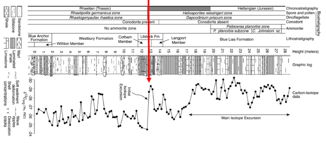 Triassic negative carbon isotope spike