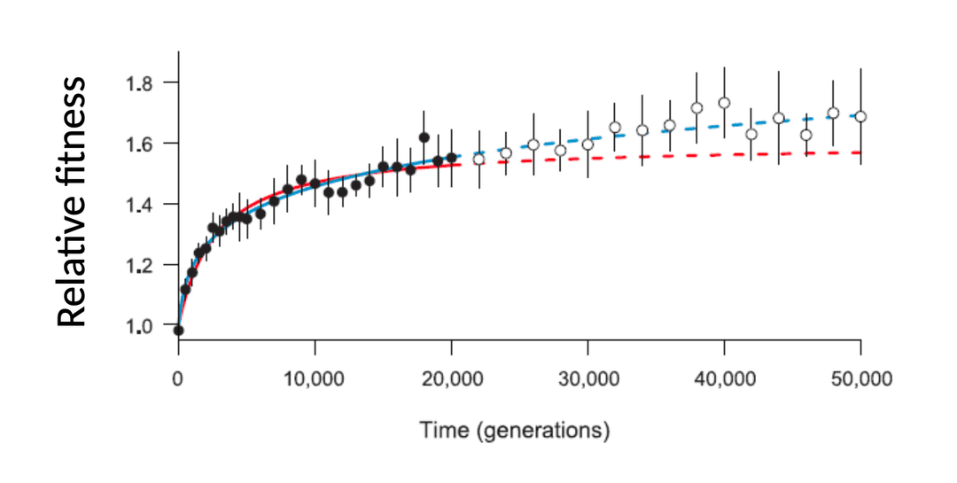 Wiser fitness models