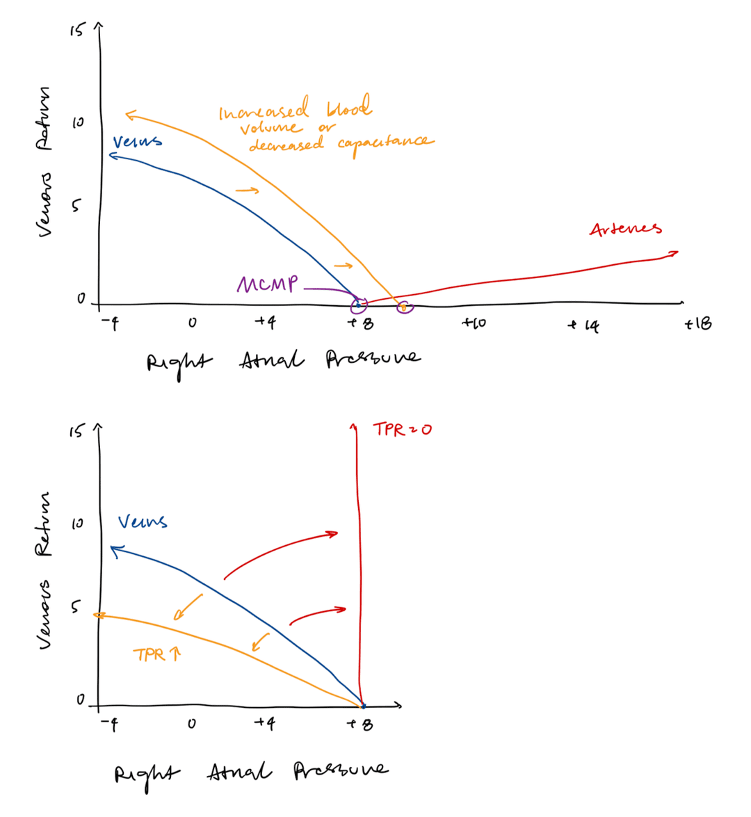 Vascular function curve